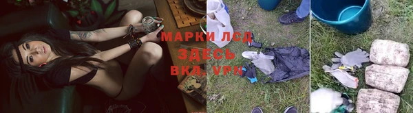 мдпв Володарск